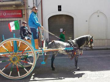 Traino (carrozza)
