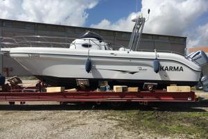 RANIERI SHADOW 30 con COPPIA HONDA MARINE BF250