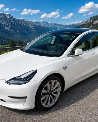 Tesla Model 3 Model 3 Long Range AWD