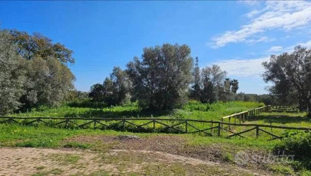 Immobile in asta di 5920 m² a Portigliola - Vista 3