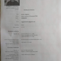 Pizzaiolo o aiuto esperto anche fainè