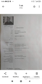 Pizzaiolo o aiuto esperto anche fainè