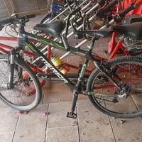 Bicicletta Mtb