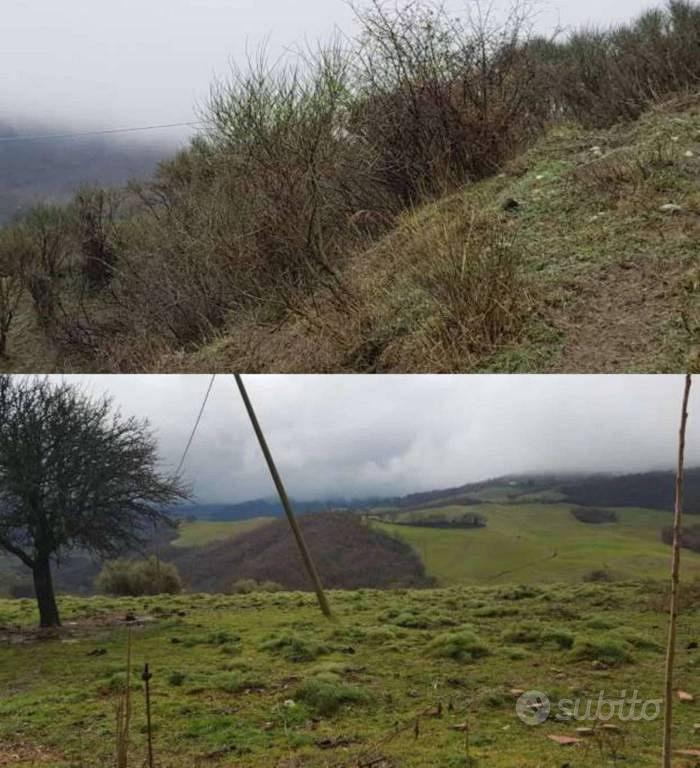 Immobile in asta di 15222 m² a San Mauro Forte - Vista 3