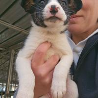 Elba: 2 mesi taglia contenuta