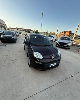 FIAT Panda NEW 1.0 70cv Hybrid PANDA