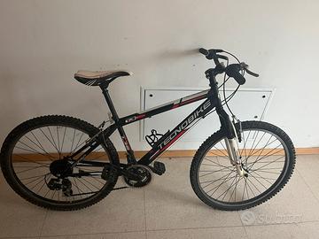 Mountain Bike Tecnobike 26