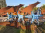 Immagine 2