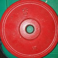 2 dischi in ghisa da 5 kg foro 25 mm 