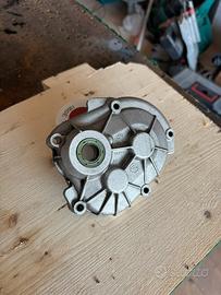 copri rapporti piaggio