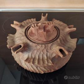 grolla dell'amicizia