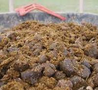 CONCIME NATURALE DI FATTORIA