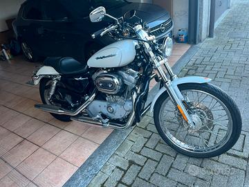 Harley Davidson sportster 883 2004 ASI
