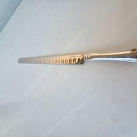 Coltello da salmone Stainless Steel (Sheratonn)