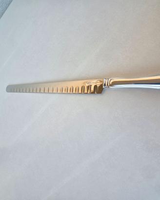 Coltello da salmone Stainless Steel (Sheratonn)