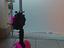 Immagine 2