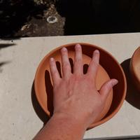 Ciotole in terracotta