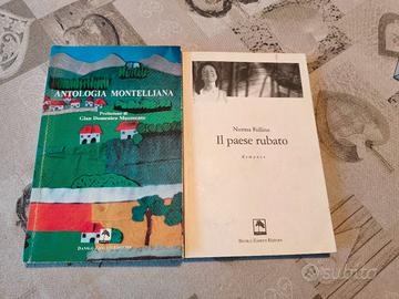 2 libri narrativa Montello: Follina + Antologia