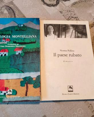 2 libri narrativa Montello: Follina + Antologia