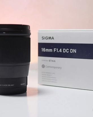 Sigma sony 16mm