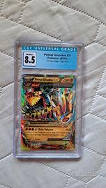primal Groudon cgc 8,5