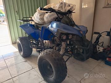 Raptor Mini Quad 
