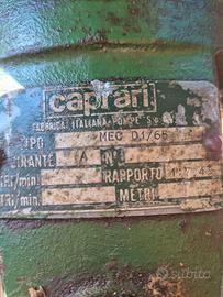 Pompa caprari d1 65