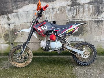Pit bike 125 nuovo
