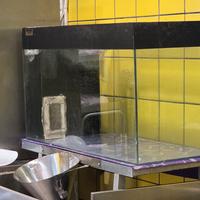 acquario professionale usato, ex pescheria 