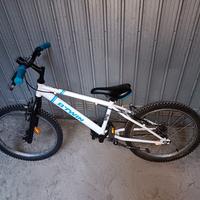 mtb bambino 20