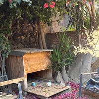 Cuccia per cane grand e