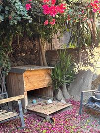 Cuccia per cane grand e