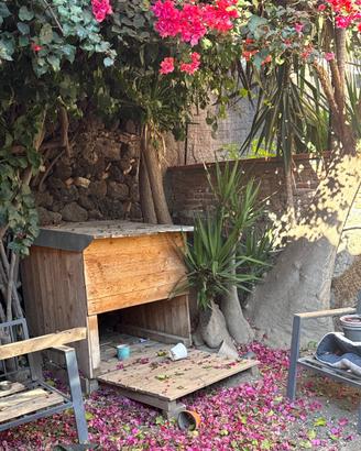 Cuccia per cane grand e