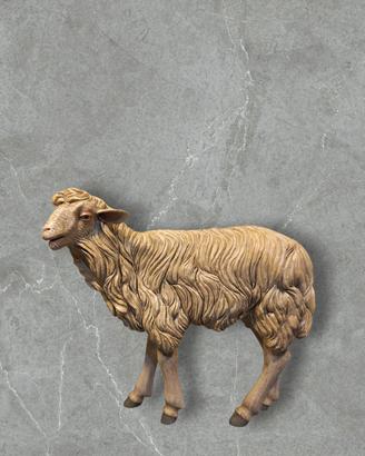 Pecora Capra Caprone Animale Pastore x Presepe 