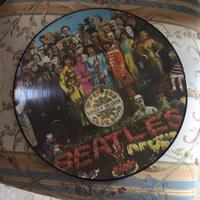 Disco vinile 33giri