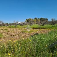 TER. AGRICOLO A TUGLIE