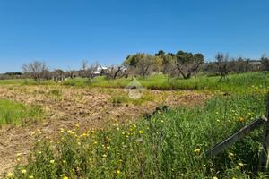 TER. AGRICOLO A TUGLIE