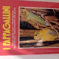 libro sui pappagallini