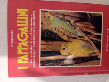 libro sui pappagallini