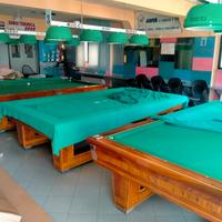 Biliardo professionale con buche