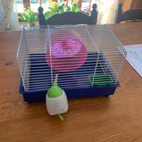 Gabbiette criceto e pesci