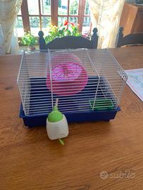 Gabbiette criceto e pesci