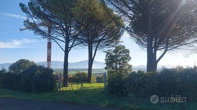Terreno di 4000 m² a Monterotondo