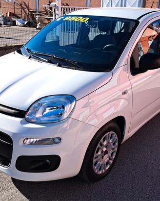 FIAT PANDA IBRIDA DEL 2022 €8900