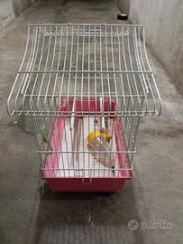 Piccola gabbia 