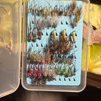 Scatola mosche nuove