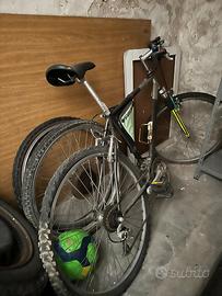 Bicicletta tenuta bene