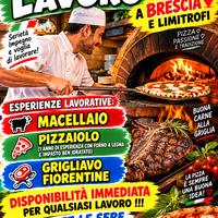 PIZZAIOLO LAVORO SERALE 