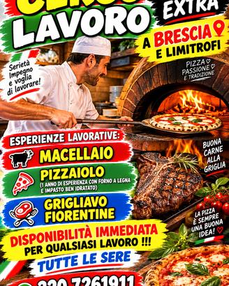 PIZZAIOLO LAVORO SERALE 