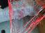 Immagine 6